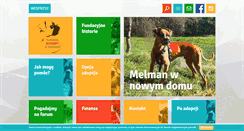 Desktop Screenshot of fundacja-bokserywpotrzebie.pl